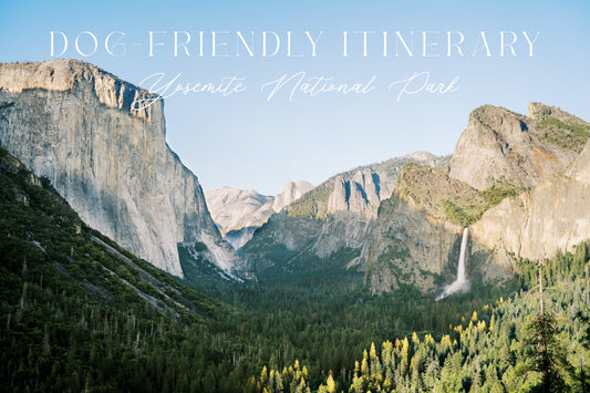 Dog-Friendly Itinerary | Yosemite National Park