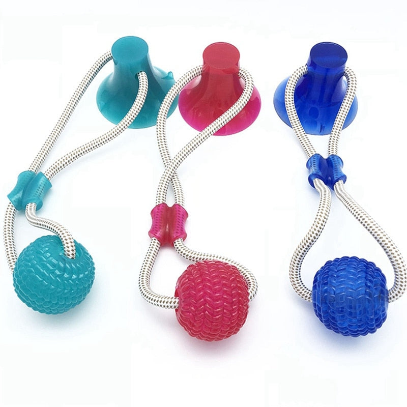 Suction Cup Chew Toy