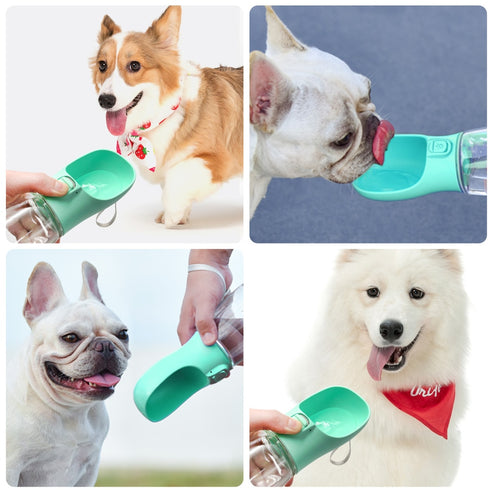 Holapet Water Bottle