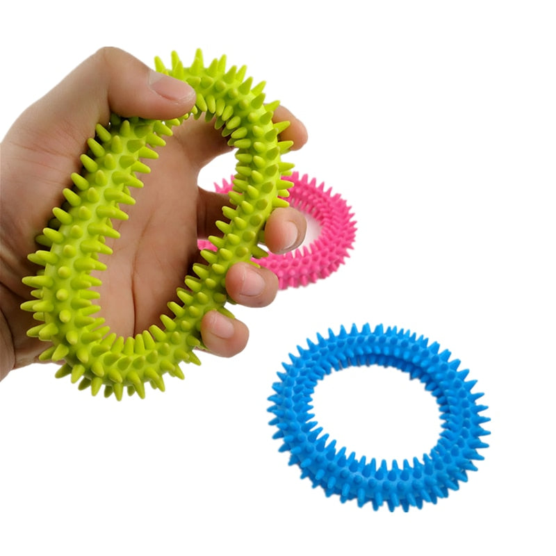 Spiky Sensory Chew Toy