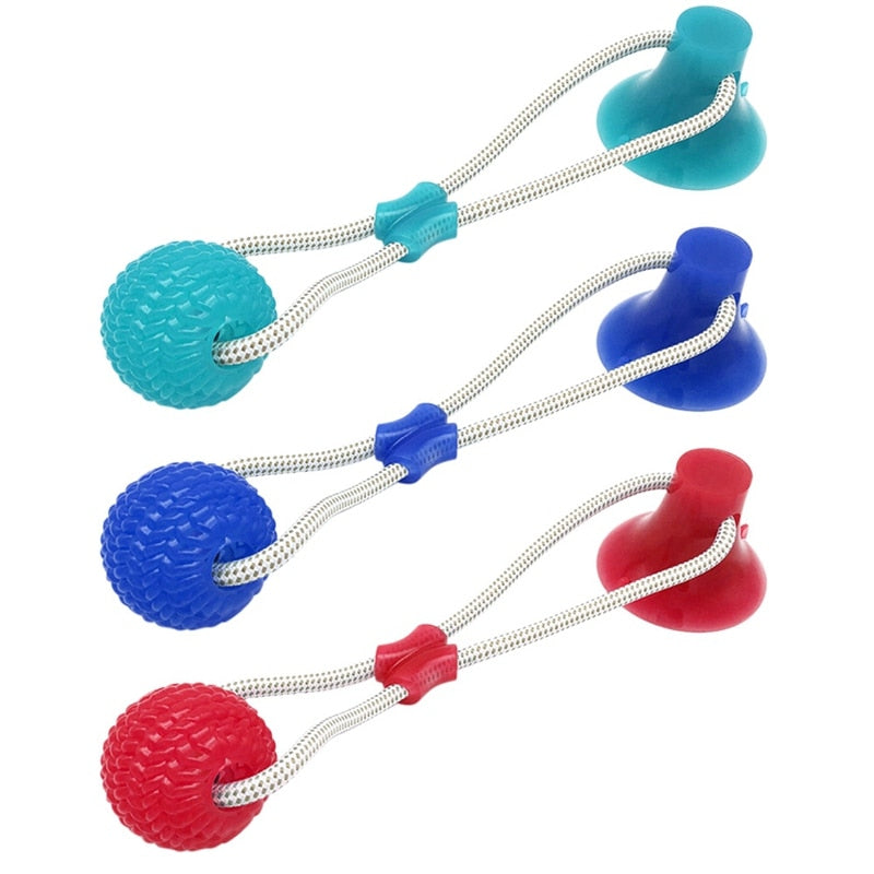 Suction Cup Chew Toy
