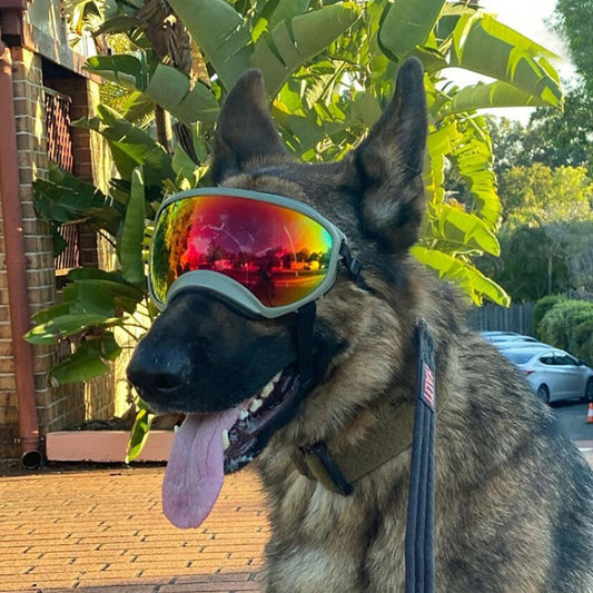Dog Eye Protection Goggles